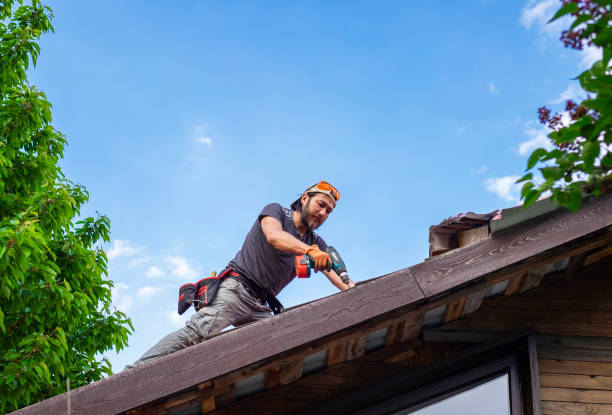 Best Roof Moss and Algae Removal  in Mulberry, NC